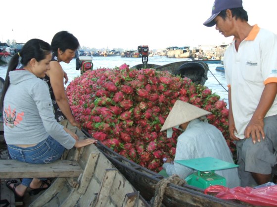 Sáng 7-7, UBND TP Cần Thơ tổ chức lễ khai mạc “Ngày hội du lịch chợ nổi Cái Răng 2017”.   ảnh 1