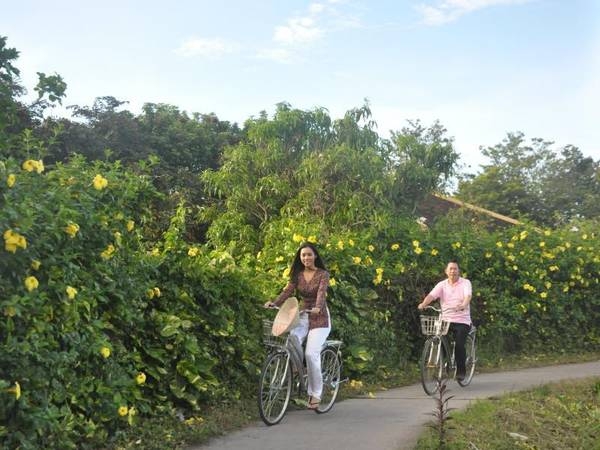 Có gì ở Đông Hòa Hiệp - làng cổ của Tiền Giang mới được công nhận di tích cấp quốc gia