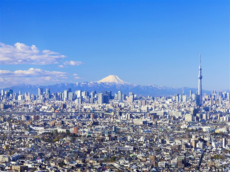 Du lịch quên lối về ở Tokyo mỗi mùa đông sang