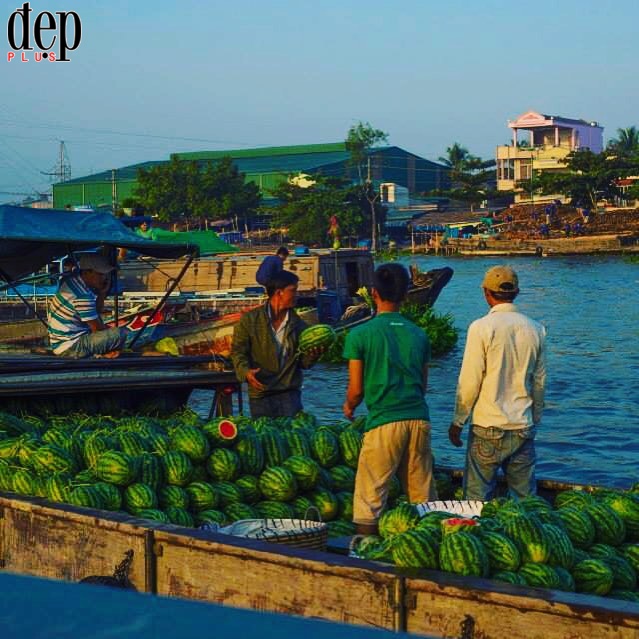 Ngày Tết ghé thăm chợ nổi miền Tây