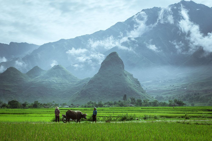 Khám phá 30 địa điểm du lịch Việt Nam