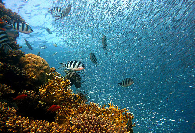 Cát Bà sánh vai cùng Maldives, Jeju trong top những hòn đảo thiên đường tại Châu Á