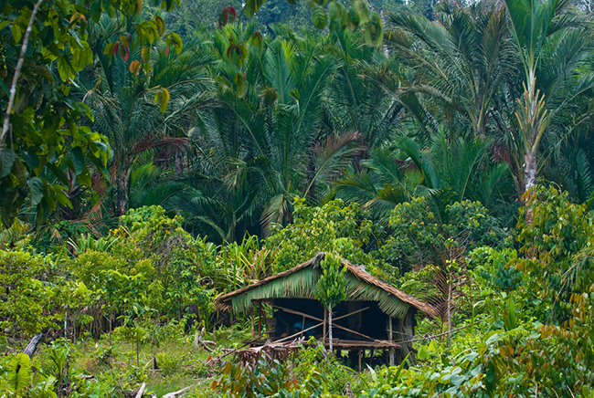 Cát Bà sánh vai cùng Maldives, Jeju trong top những hòn đảo thiên đường tại Châu Á