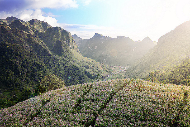 10 điểm đến ở Hà Giang đi mãi chẳng muốn về