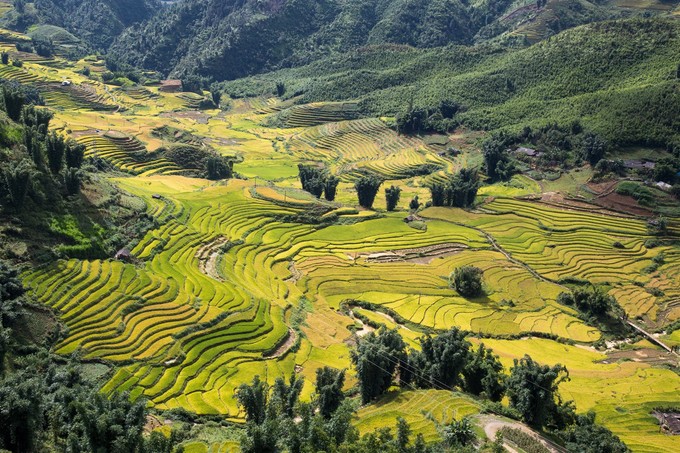 Hoàng Liên Sơn được bình chọn 'điểm đến hấp dẫn nhất thế giới 2019'