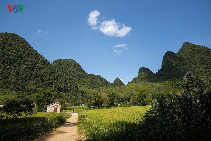 Đến Cao Bằng ngắm vẻ đẹp hùng vĩ, nên thơ của thung lũng Ngọc Côn, Phong Nậm