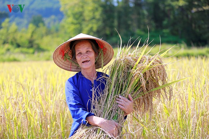 Đến Cao Bằng ngắm vẻ đẹp hùng vĩ, nên thơ của thung lũng Ngọc Côn, Phong Nậm