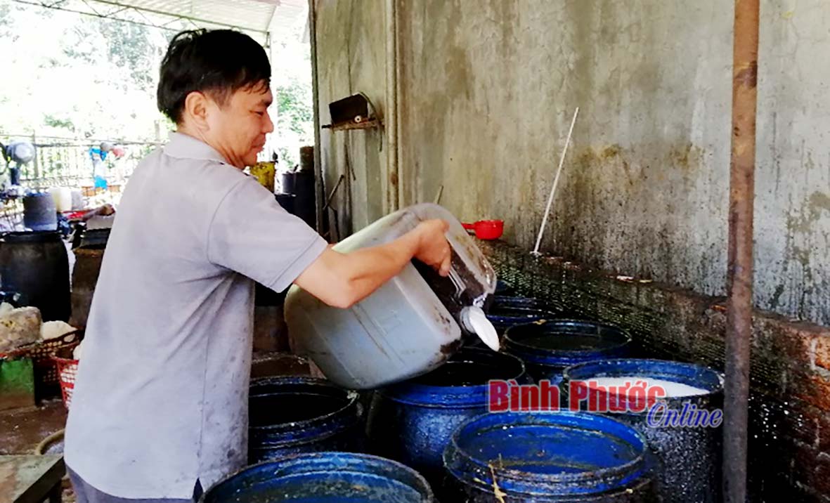 Gia đình anh Nguyễn Trọng Vinh, thành viên CLB Liên thế hệ tự giúp nhau có kinh tế khá sẵn sàng giúp đỡ hội viên khó khăn