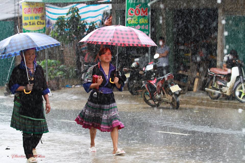 Mùa vàng trên danh thắng Mù Cang Chải