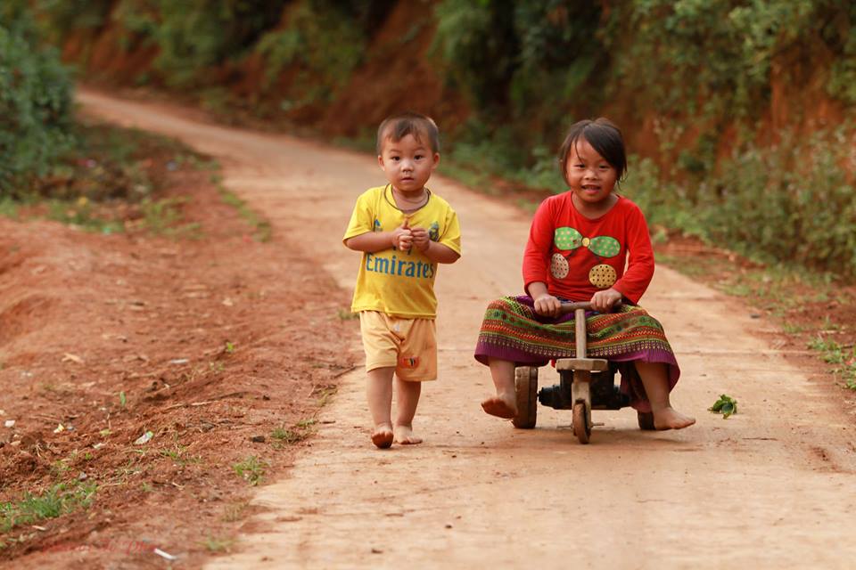 Mùa vàng trên danh thắng Mù Cang Chải