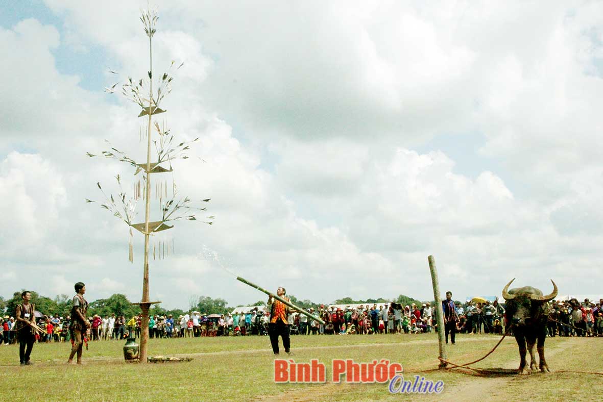 Một trong những nghi lễ cúng thần linh trong lễ hội kết bạn của người Mơnông.