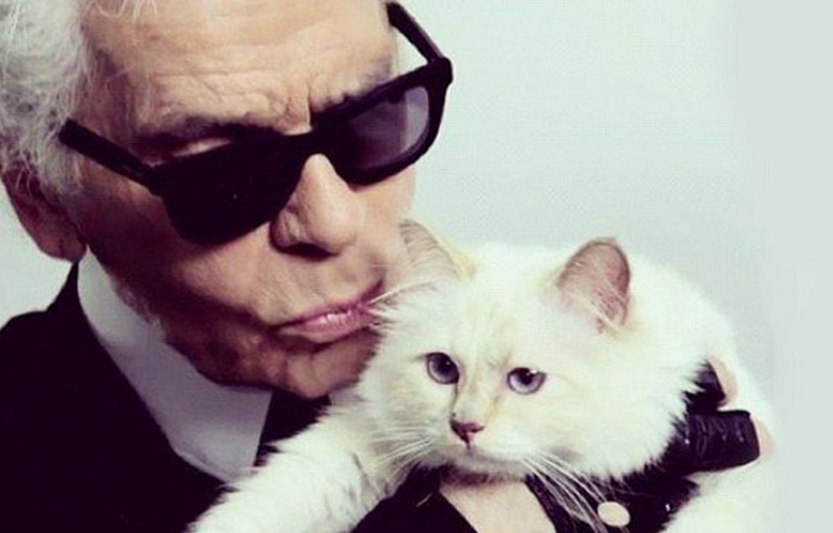 'Cô mèo' Choupette có thể được thừa kế tài sản của Lagerfeld. (Nguồn: The Times)