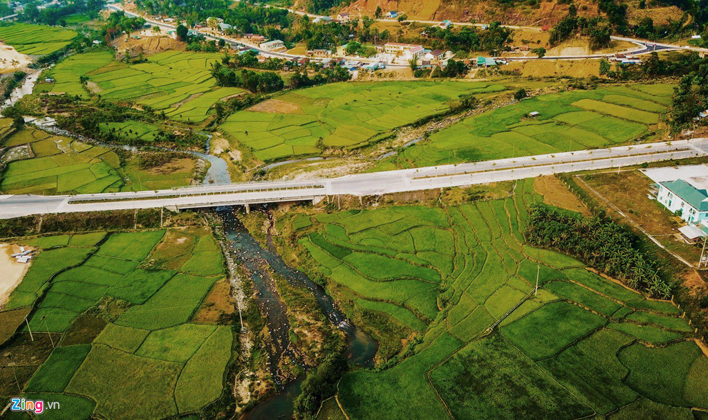 Thang 3 ve, ngam Quang Ngai thay mau voi canh dong bat ngat hinh anh 4 