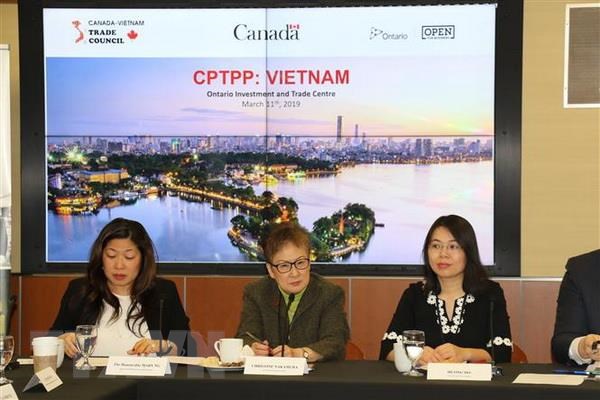 CPTPP mo ra nhieu co hoi cho cac doanh nghiep Canada va Viet Nam hinh anh 1