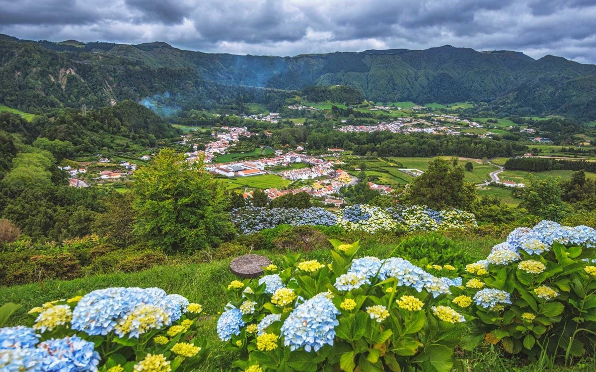 Hòn đảo ngập tràn hoa cẩm tú cầu ở Bồ Đào Nha