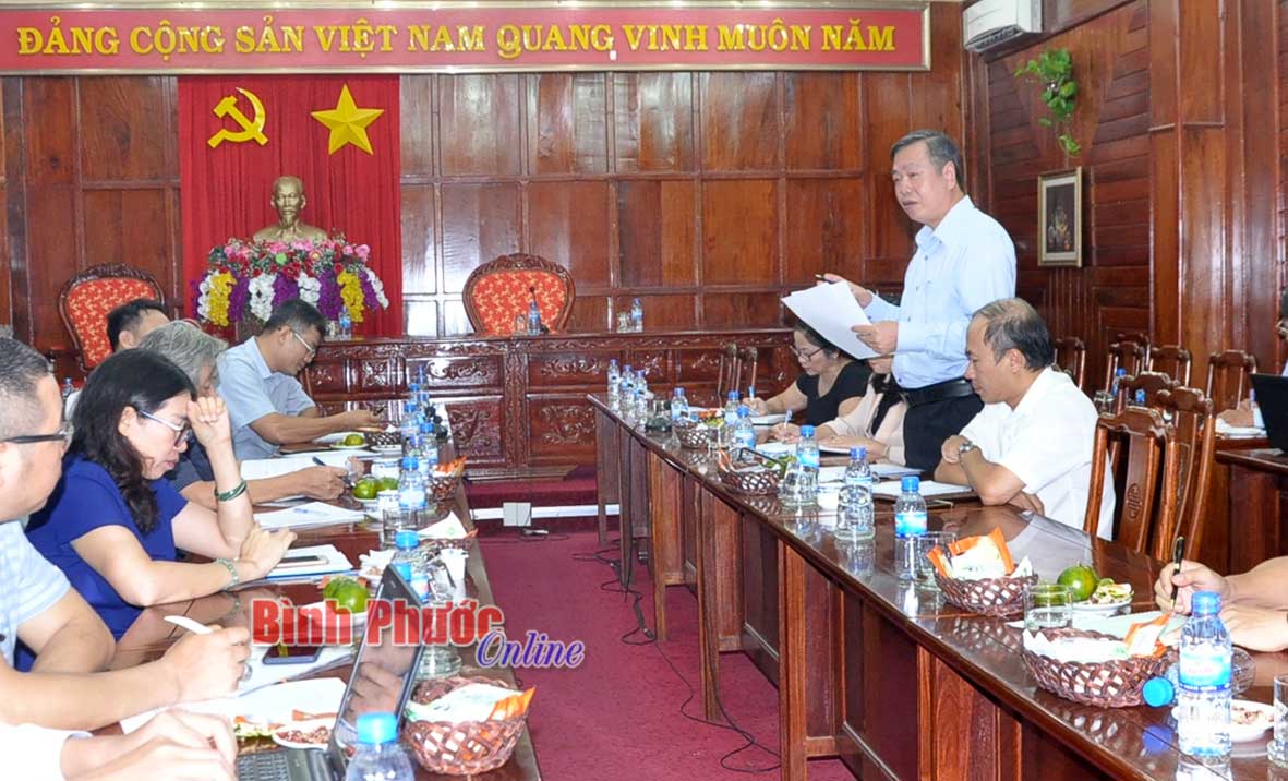 Phó chủ tịch UBND tỉnh Huỳnh Anh Minh phát biểu tại buổi làm việc