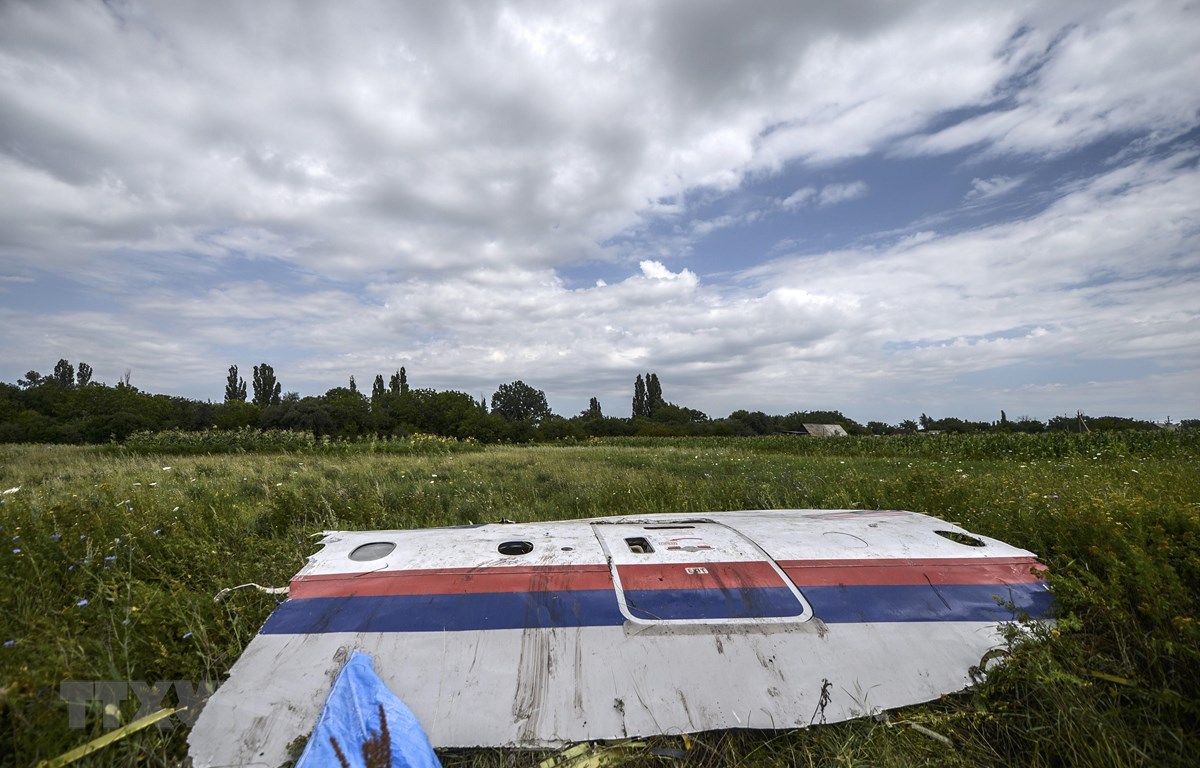 Một phần xác máy bay MH17 trên cánh đồng gần làng Grabove, vùng Donetsk, miền đông Ukraine ngày 20/7/2014. (Ảnh: AFP/TTXVN)