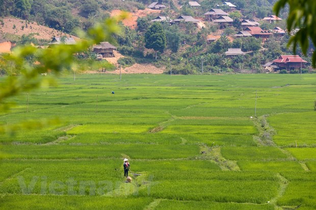 Chien thang Dien Bien Phu: Khi xe dap va... ban tho cung vao tran dia hinh anh 3