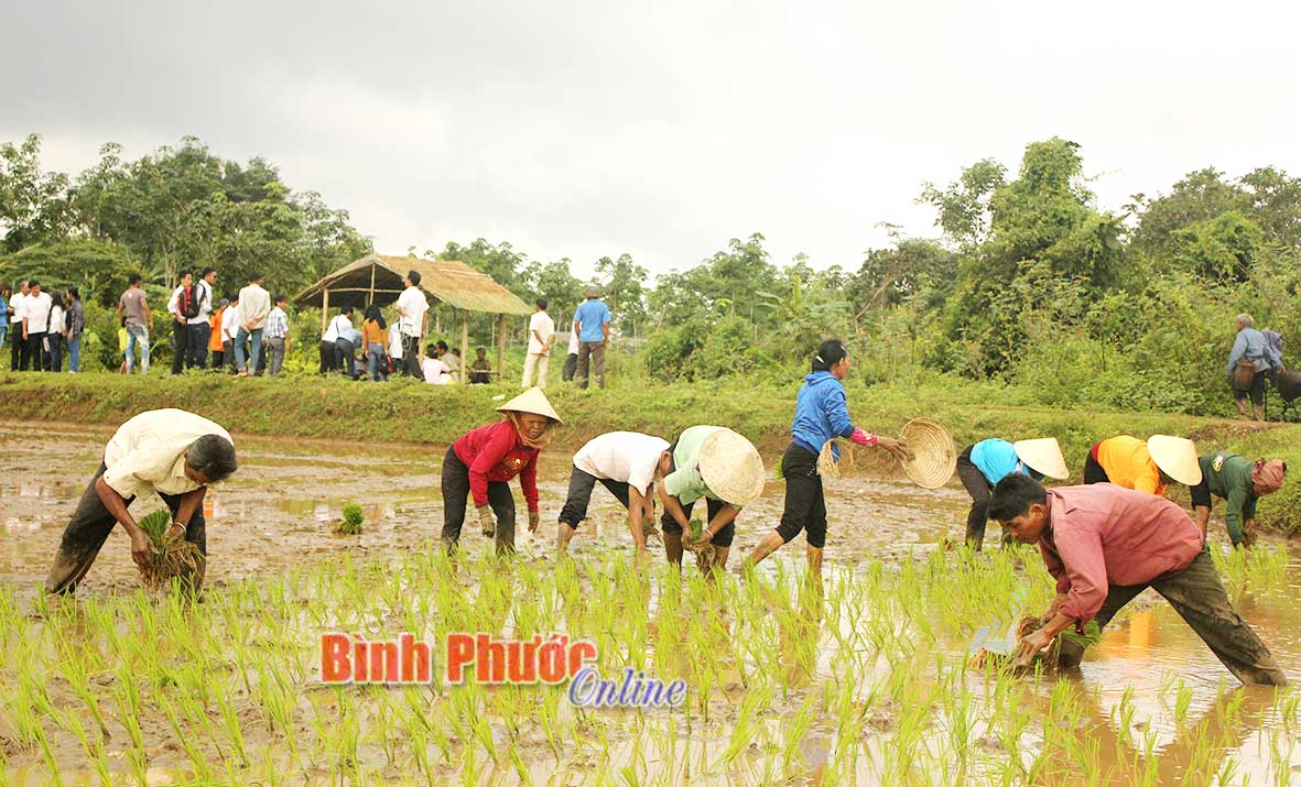 Lễ hội xuống đồng được tổ chức ở xã Lộc Khánh, huyện Lộc Ninh