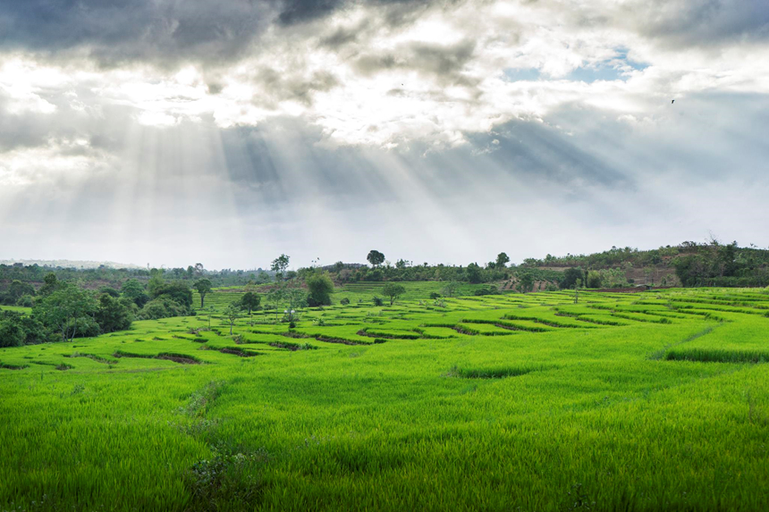 Gia Lai, noi an giau loat canh dep say long giua cao nguyen dat do hinh anh 21 