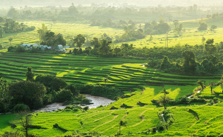 Gia Lai, noi an giau loat canh dep say long giua cao nguyen dat do hinh anh 22 