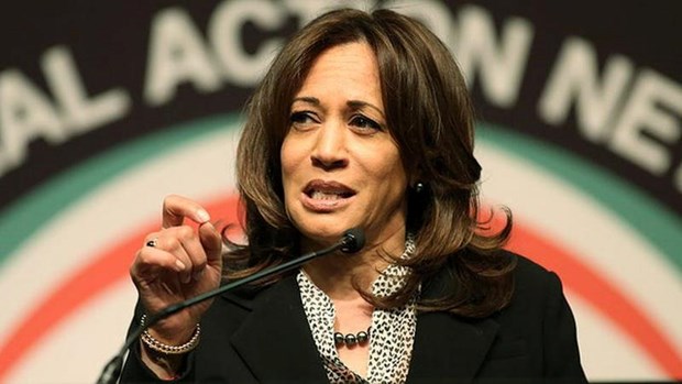 Bau cu My 2020: Ung cu vien Kamala Harris vuon len vi tri thu hai hinh anh 1