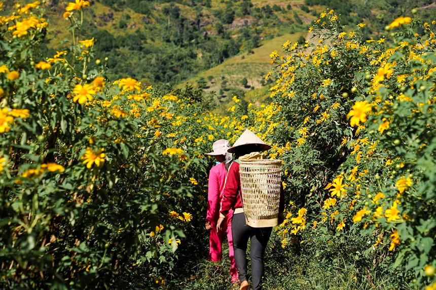 Gia Lai, noi an giau loat canh dep say long giua cao nguyen dat do hinh anh 19 