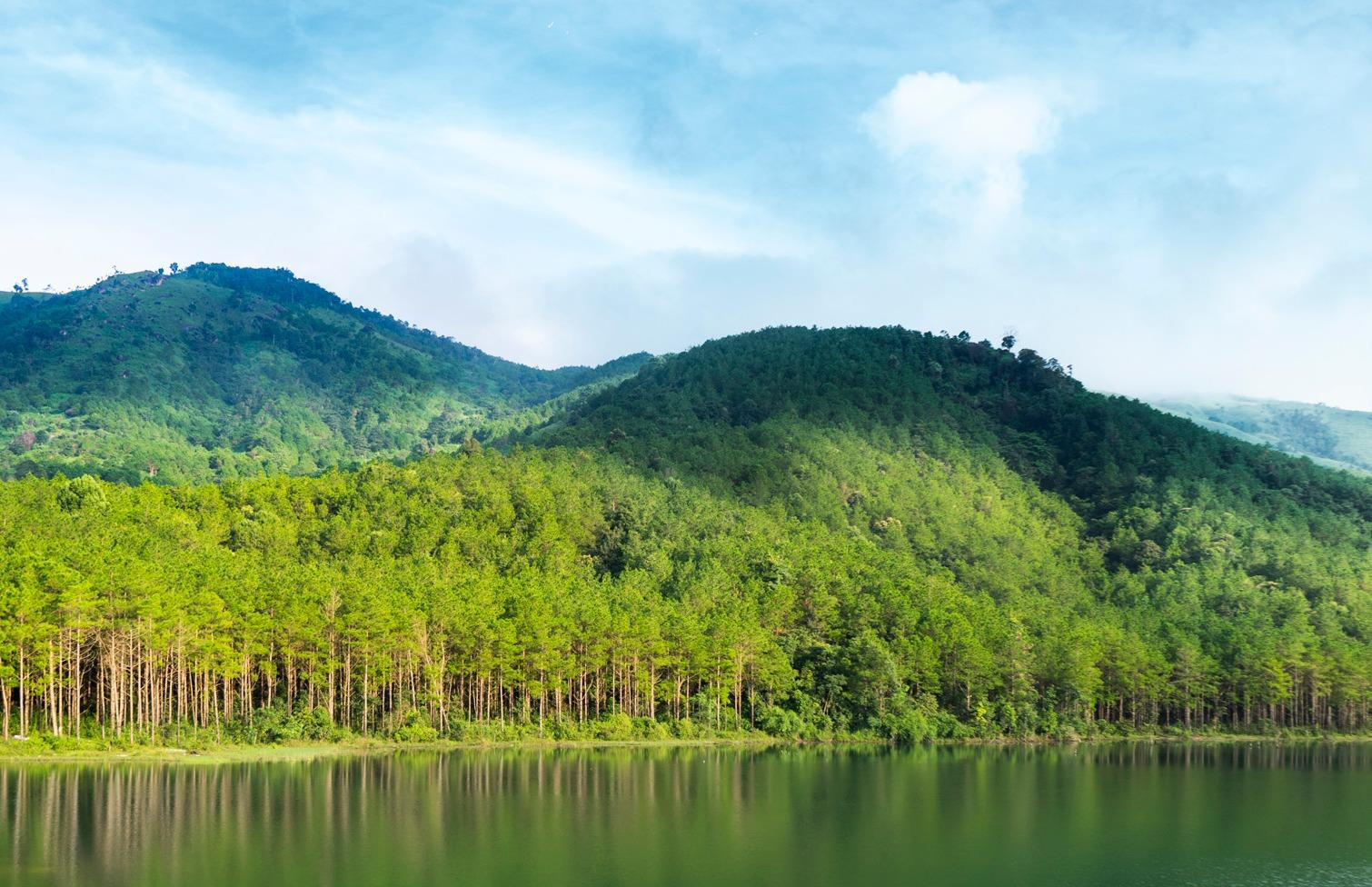 Gia Lai, noi an giau loat canh dep say long giua cao nguyen dat do hinh anh 12 