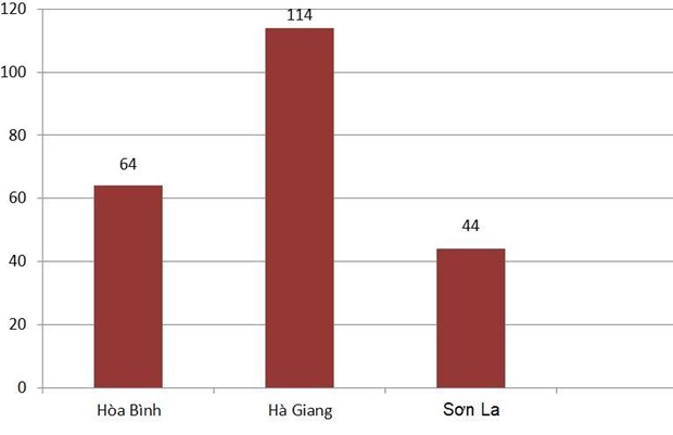 Thi THPT quoc gia 2019: 'Thi sinh dac biet' van dang... lam bai thi hinh anh 1