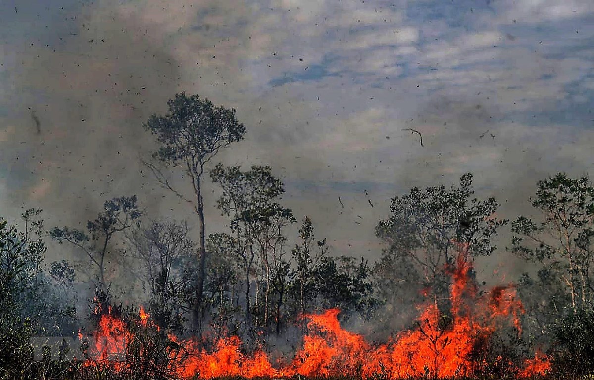 Trong ảnh: Khói lửa bốc cao trong vụ cháy rừng tại Amazonas,Brazil ngày 26/8. (Nguồn: THX/TTXVN)