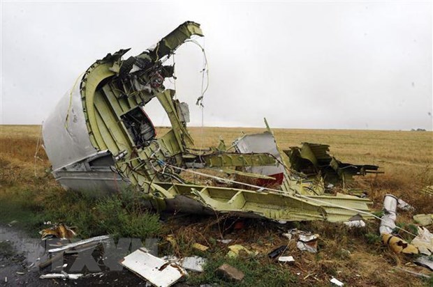 Ukraine giao bang chung dau tien tien trong vu MH17 cho Ha Lan hinh anh 1