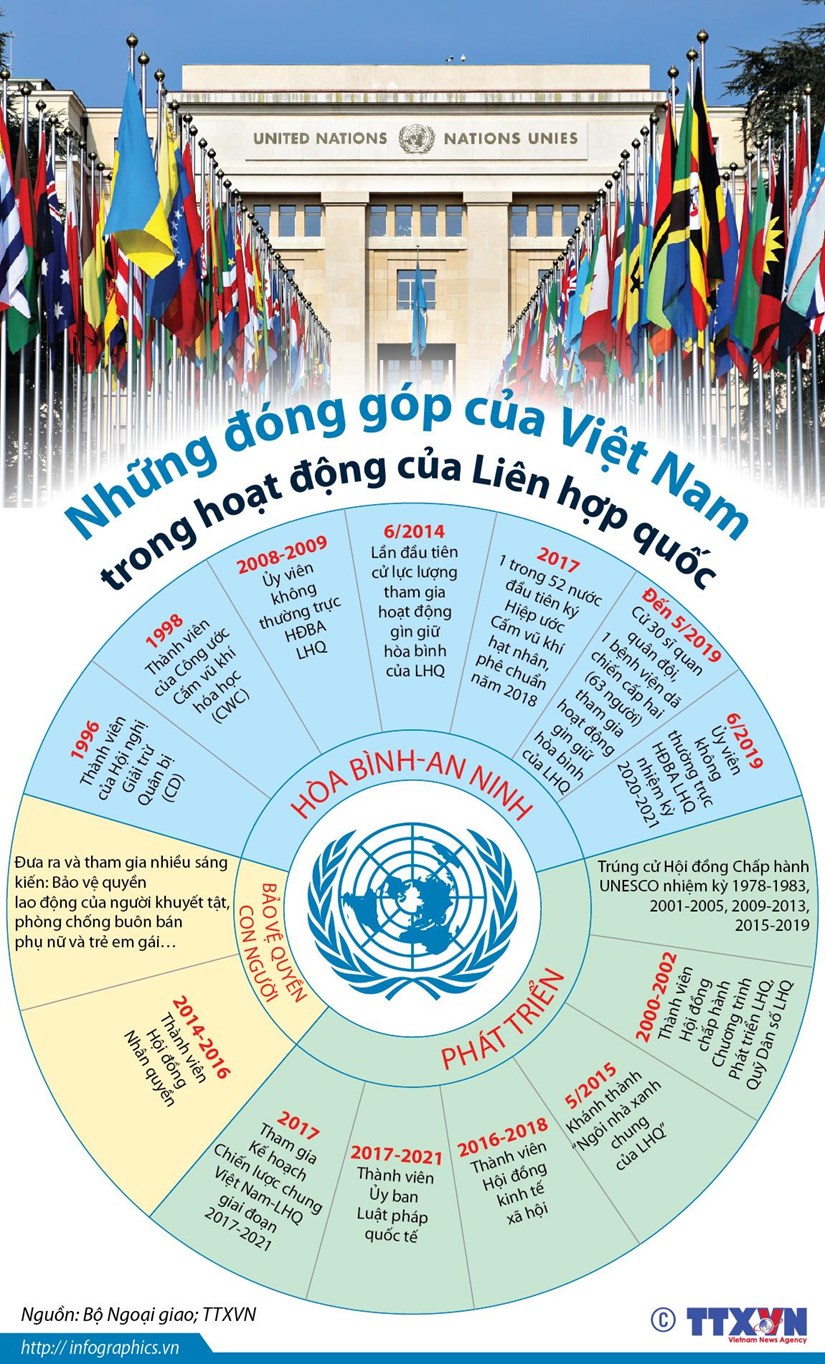 [Infographics] Nhung dong gop cua Viet Nam trong hoat dong cua LHQ hinh anh 1