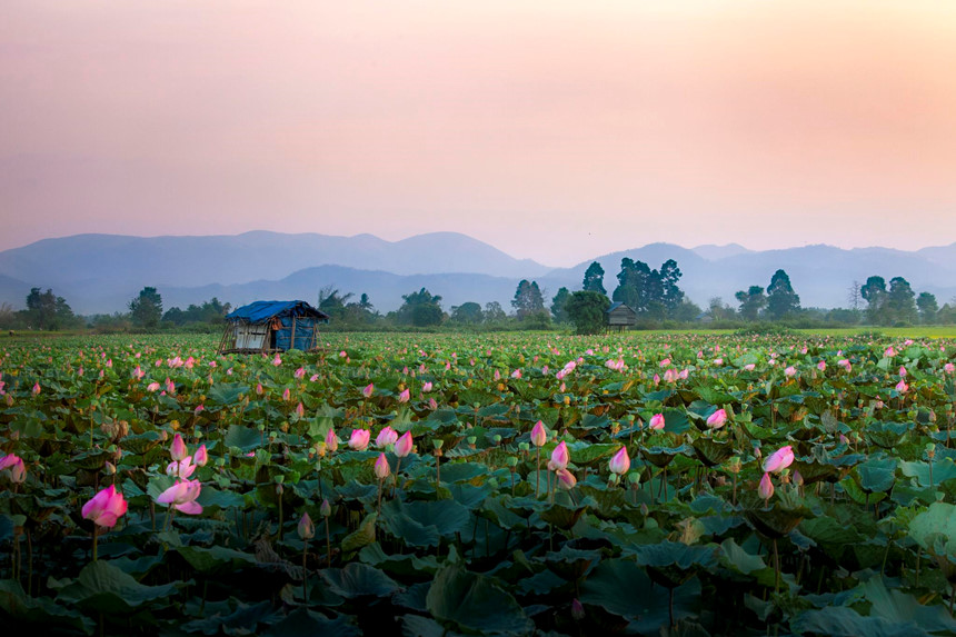 Gia Lai, noi an giau loat canh dep say long giua cao nguyen dat do hinh anh 7 