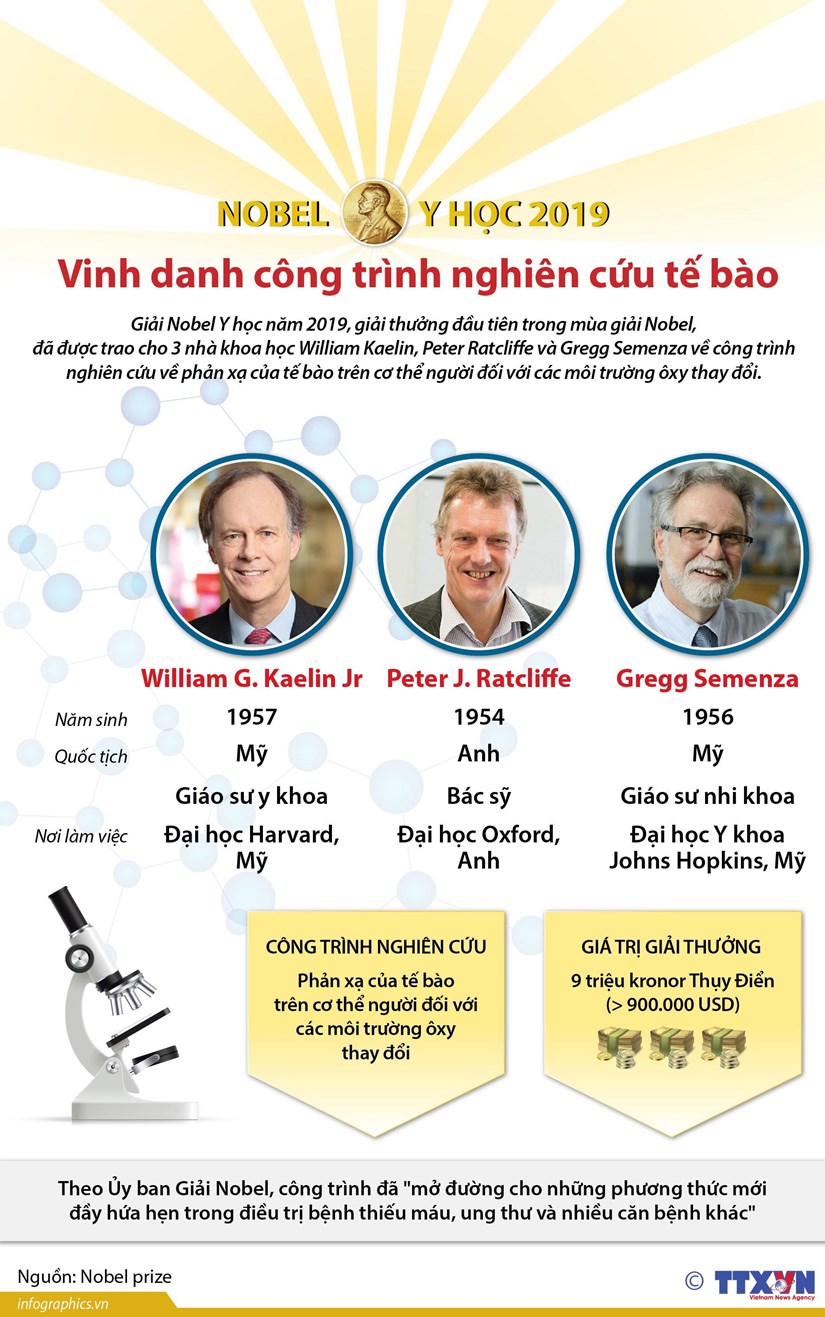 [Infographics] Nobel Y hoc 2019 vinh danh cong trinh nghien cuu te bao hinh anh 1