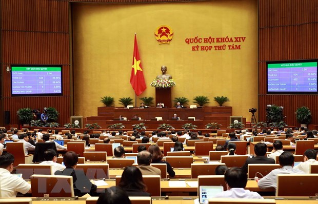 Bieu quyet Bo luat Lao dong (sua doi), cho y kien hai du an Luat hinh anh 1