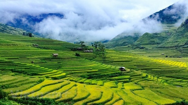 Nhung dia diem dep du khach khong nen bo lo khi den Mu Cang Chai hinh anh 1