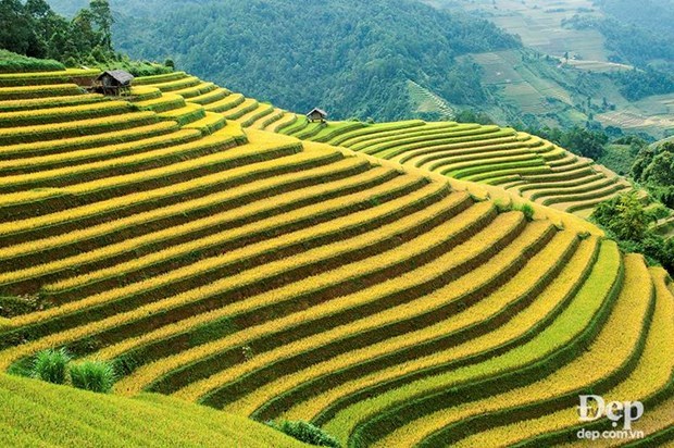 Nhung dia diem dep du khach khong nen bo lo khi den Mu Cang Chai hinh anh 4