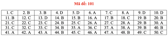 Gợi ý bài giải môn toán thi tốt nghiệp THPT 2020 - đủ 24 mã đề - Ảnh 6.