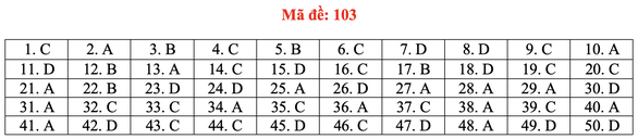 Gợi ý bài giải môn toán thi tốt nghiệp THPT 2020 - đủ 24 mã đề - Ảnh 8.