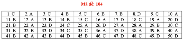 Gợi ý bài giải môn toán thi tốt nghiệp THPT 2020 - đủ 24 mã đề - Ảnh 9.