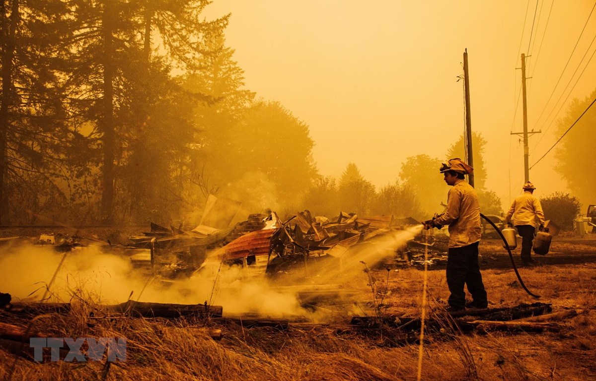 Cảnh đổ nát sau vụ cháy rừng tại Oregon, Mỹ, ngày 10/9/2020. (Ảnh: AFP/TTXVN)