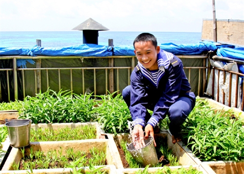 Tăng gia sau buổi huấn luyện trên đảo Đá Lát