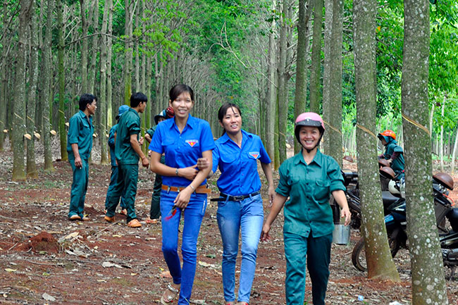 nông trường cao su Tân Thành