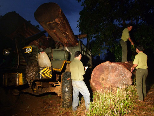 Bắt giữ băng 83 tội phạm nguy hiểm